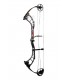 Arc PSE Stinger F35 SX Cam