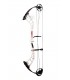Arc PSE Stinger F35 SX Cam