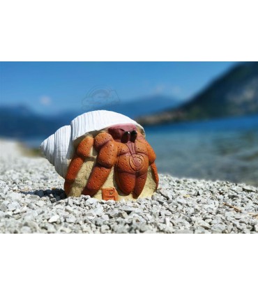 Cible 3D 3 DI  Crabe
