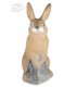 Cible 3D 3 DI  Lapin