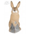 Cible 3D 3 DI  Lapin