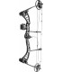 Arc BOOSTER F1 RTS