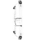 Arc PSE Lazer X NF Cam 2026