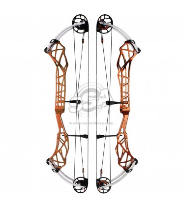 Arc TOPOINT  X 40 Small Cam