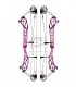 Arc TOPOINT  X 40 Small Cam