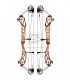 Arc TOPOINT  X 40 Big Cam