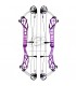 Arc TOPOINT  X 40 Big Cam