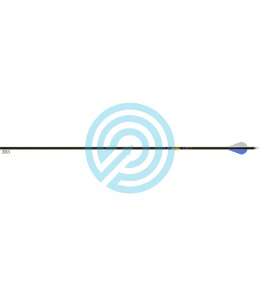 Tube GOLD TIP Ultralight .003 (par 12)