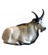 copy of 3D CHEVRE BLANCHE