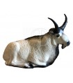 Cible 3D AA Chèvre Blanche