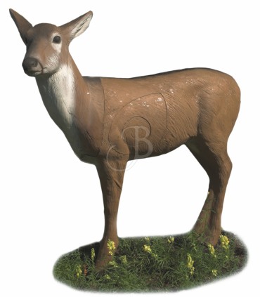 Cible 3D AA Cerf Alerte