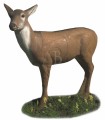 Cible 3D AA Cerf Alerte