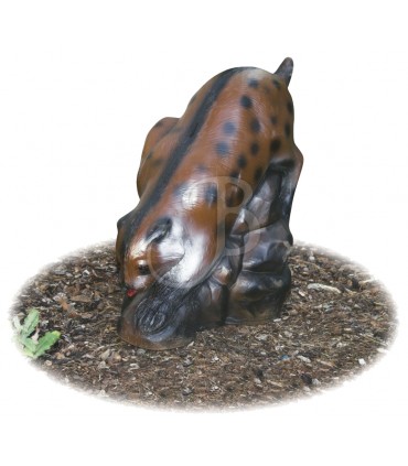 copy of 3D CASTOR