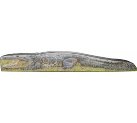 Cible BOOSTER 2D Crocodile