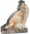 Cible BOOSTER 2D Lynx
