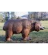 Cible 3D CENTER POINT Grizzly