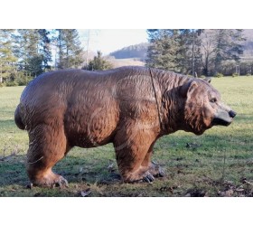 Cible 3D CENTER POINT Grizzly