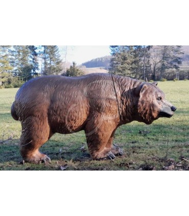 Cible 3D CENTER POINT Grizzly