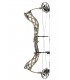 Arc BOWTECH Carbone Zion