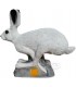 Cible 3D SRT Lapin des Neige