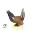 Cible 3D SRT Coq