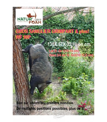 copy of 3D SANGLIER - AU PAS