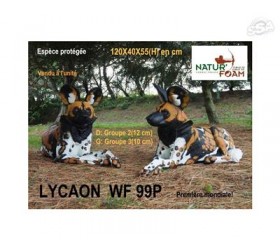Cible 3D NATURFOAM Lycaon
