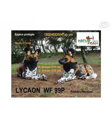 Cible 3D NATURFOAM Lycaon
