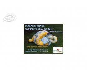 copy of 3D MODEL PACK CHASSE,SANGLIER AU PAS