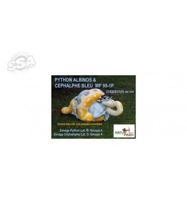 Cible 3D NATURFOAM Python