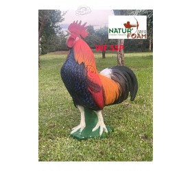 Cible 3D NATURFOAM Coq