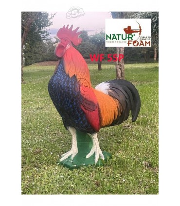 Cible 3D NATURFOAM Coq
