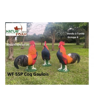 Cible 3D NATURFOAM Coq