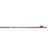 Tube EASTON FMJ Match Grade ø 4 (par 12)