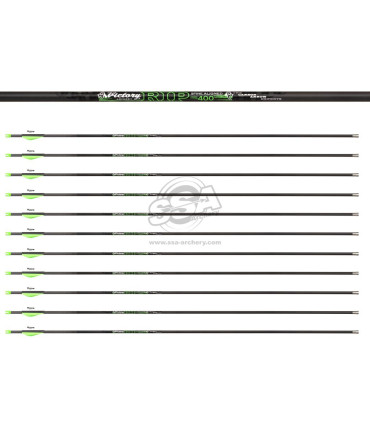 copy of Tube  VICTORY V1 ELITE PAR 12