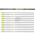 copy of Tube  VICTORY V1 ELITE PAR 12