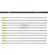 copy of Tube  VICTORY V1 ELITE PAR 12