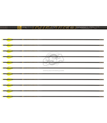 copy of Tube  VICTORY V1 ELITE PAR 12