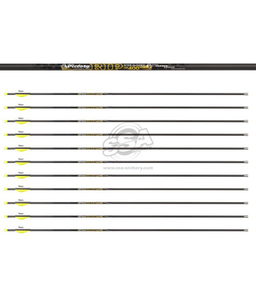 copy of Tube  VICTORY V1 ELITE PAR 12