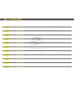 copy of Tube  VICTORY V1 ELITE PAR 12