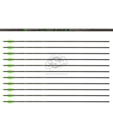 copy of Tube  VICTORY V1 ELITE PAR 12
