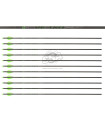 copy of Tube  VICTORY V1 ELITE PAR 12