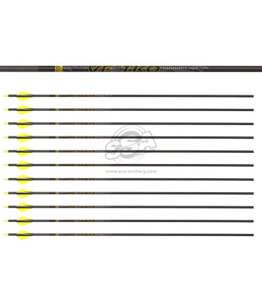 copy of Tube  VICTORY V1 ELITE PAR 12
