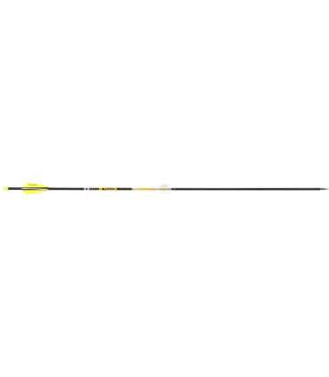 copy of Tube  VICTORY V1 ELITE PAR 12