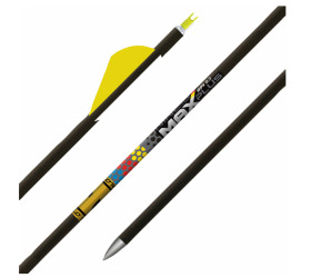 Tube GOLD TIP Nine.3 Max Plus (par 12)