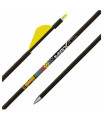 Tube GOLD TIP Nine.3 Max Plus (par 12)