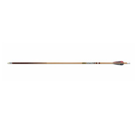 Tube GOLD TIP Traditional Classic ( par 12)