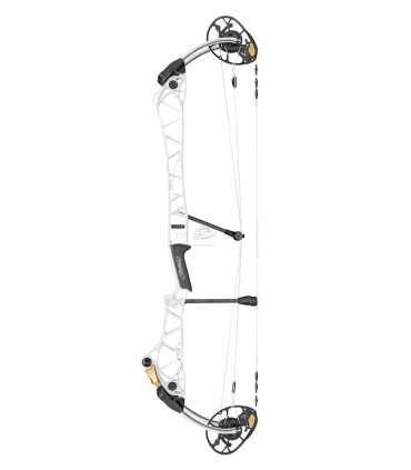 Arc MATHEWS Title 38" G2