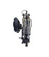 Kit BEAR ARCHERY Cruzer G-4