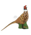Cible 3D BEIER Faisan